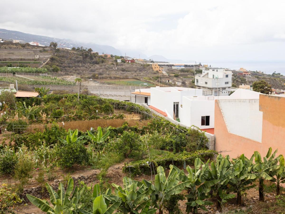 Live Icod Buen Paso Apartment Icod De Los Vinos Exterior foto